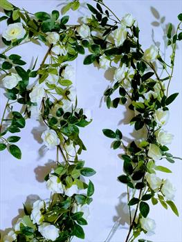 Лиана из роз Л13