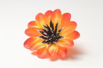 Голова георгина Г48