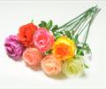 Одиночная роза ОД53