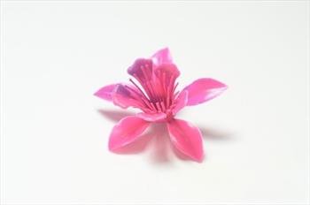 Голова орхидеи Г13