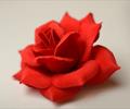 Голова розы бархатной Г08