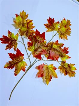 Ветка с кленовыми листьями В45
