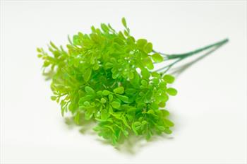 Букет самшита Б03