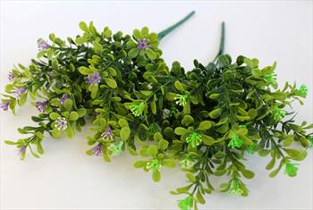 Букет японский самшит Б01