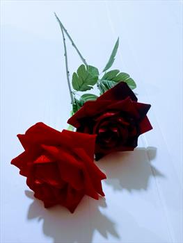 Одиночная бархатная роза ОД144