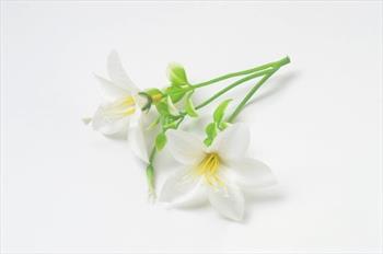 Насадка с цветами Г01