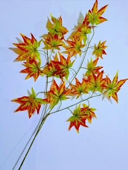 Ветка с кленовыми листьями В14