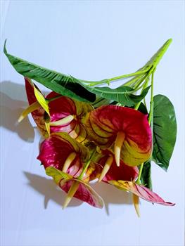 Букет антуриума Б09