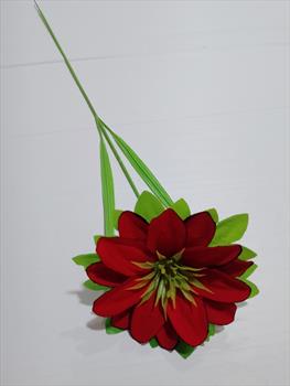 Одиночный георгин бархатный ОД13