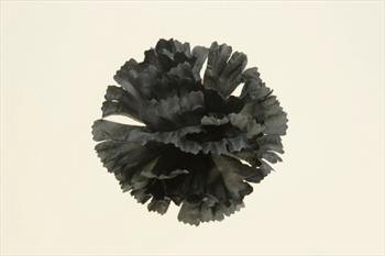 Голова гвоздики Г88