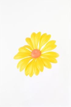 Голова ромашки Г43