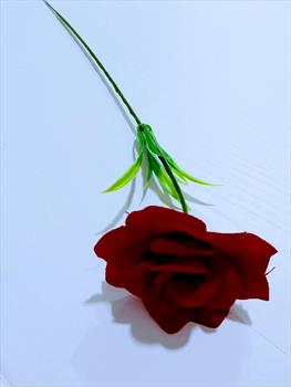 Одиночная роза ОД156