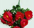 Букет пионов Б21