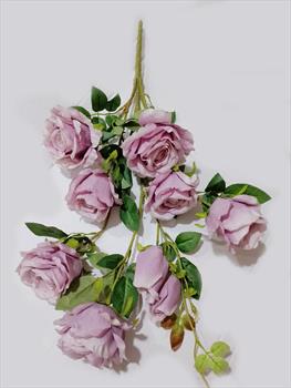 Куст розы Б016