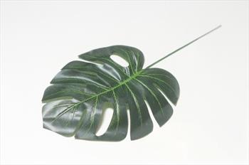 Лист монстеры Л42