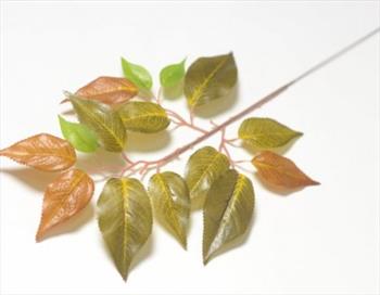 Ветка фикуса В02