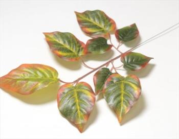 Ветка дерева авакадо В02