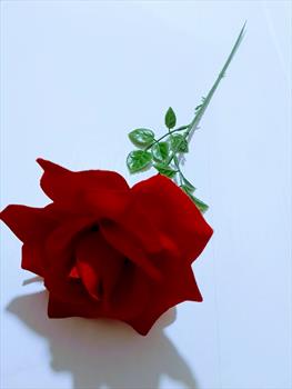 Одиночная бархатная роза ОД143