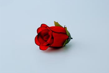 Голова бутона розы Г34