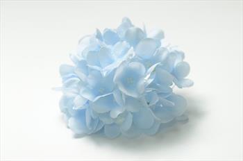 Голова гортензии Г253