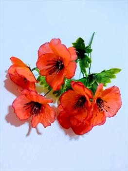 Букет маков Б53