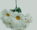 Букет ромашек Б63