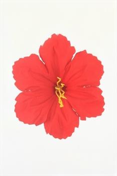 Голова клематиса бархатная СБ01