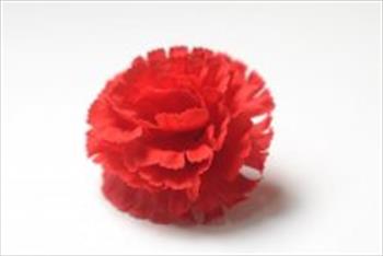 Голова гвоздики Г12