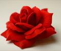 Голова розы Г28
