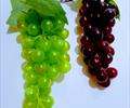 Гроздь винограда И02