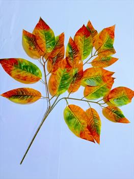 Ветка с листьями манго В34