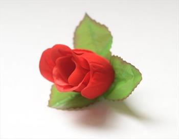 Голова бутона розы Г24