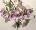 Букет орхидеи Б04