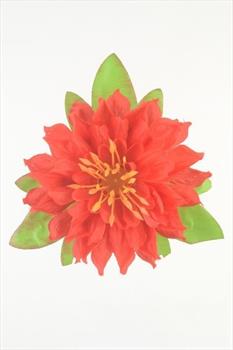 Голова георгина Г97